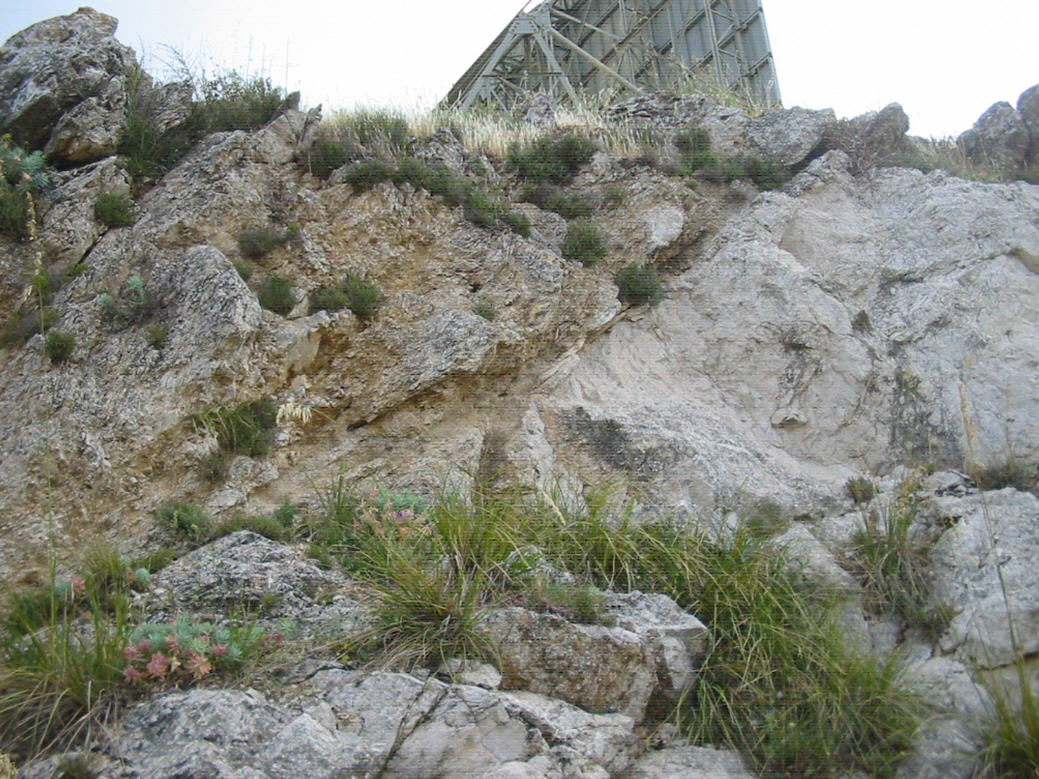 Faglia